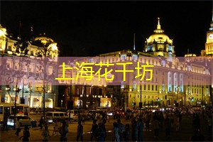 上海茶庄的品牌影响力研究
